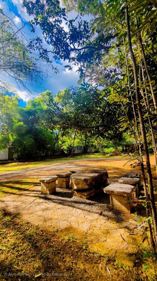Jay'S Avenue Hotel Udawalawe Exterior foto